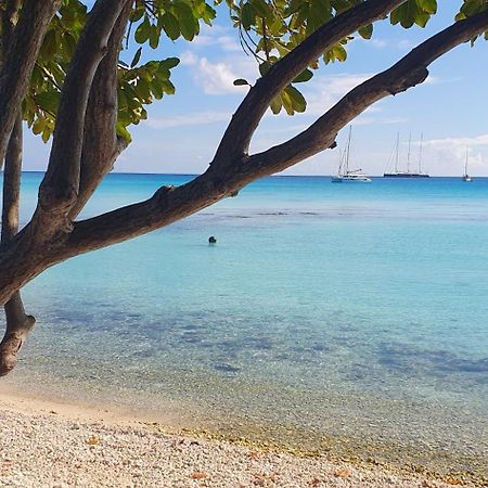 Poe Guesthouse Rangiroa エクステリア 写真